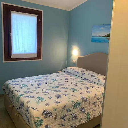 Tanaunella * 부도니