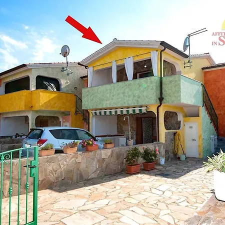 Tanaunella * 부도니