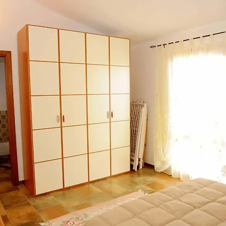 Tanaunella * 부도니