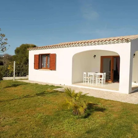 Tanaunella 부도니