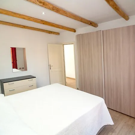 Tanaunella * 부도니